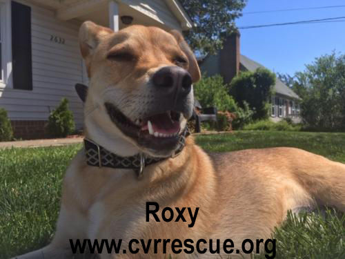 Roxy